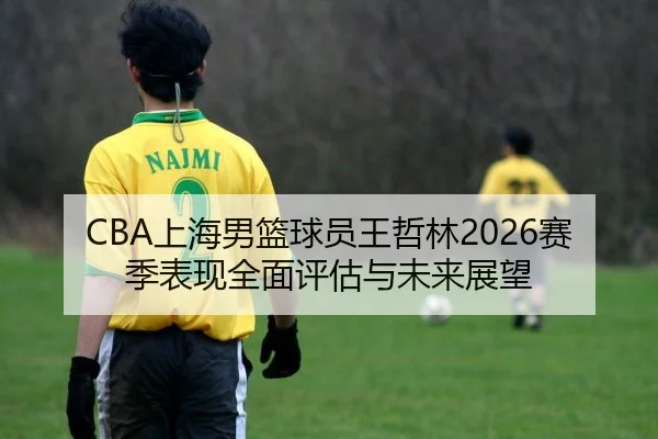 shang-hai-nan-lan-qiu-yuan-wang-zhe-lin-sai-ji-biao-xian-quan-mian-ping-gu-yu-wei-lai-zhan-wang-2-622.jpg